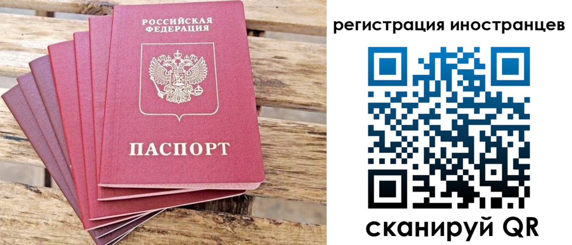временная прописка в Камешково